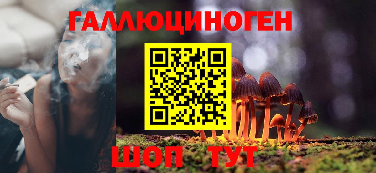 Псилоцибиновые грибы GOLDEN TEACHER  Вход с VPN  закладки  Кинель 
